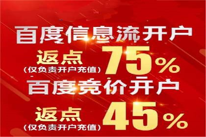 案例分析：SEM优化助力电商销量增长